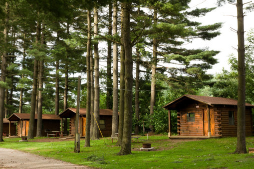 Several cabins provide accomodation in tall pines