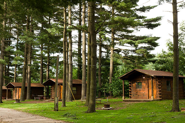 Camping Cabins in the Pines Several cabins provide accomodation in tall pines cabin stock pictures, royalty-free photos & images