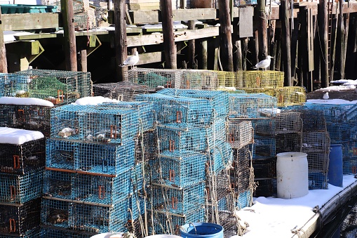 Lobster traps by pier