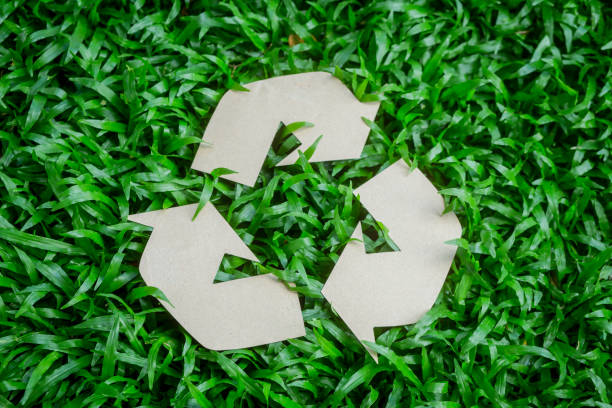 istock Zero waste movement and technological ecosystem care Collaborative concept of conservation and improvement of waste for reuse or similar, reuse, reduction, rejection and repair. 1745574289