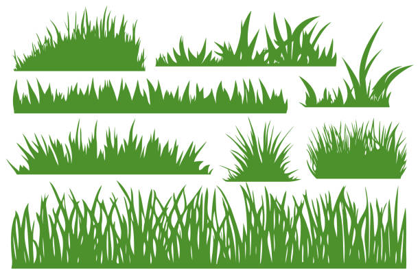緑の草のベクトルセット - grass prairie silhouette meadow点のイラスト素材／クリップアート素材／マンガ素材／アイコン素材