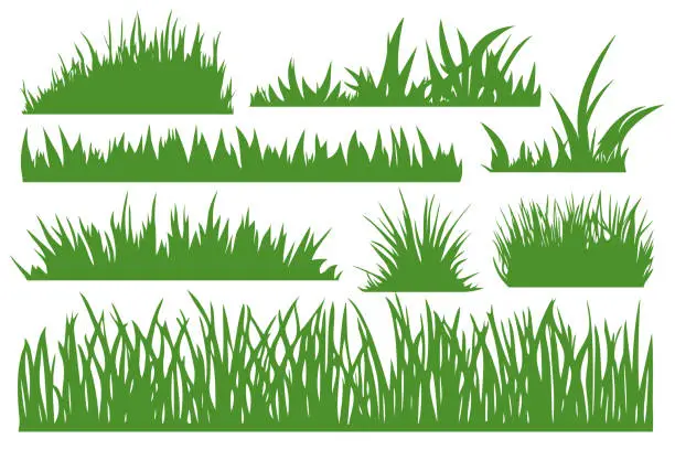 Fgrass Vector Free blades of grass Vector Images & Graphics | FreeImages