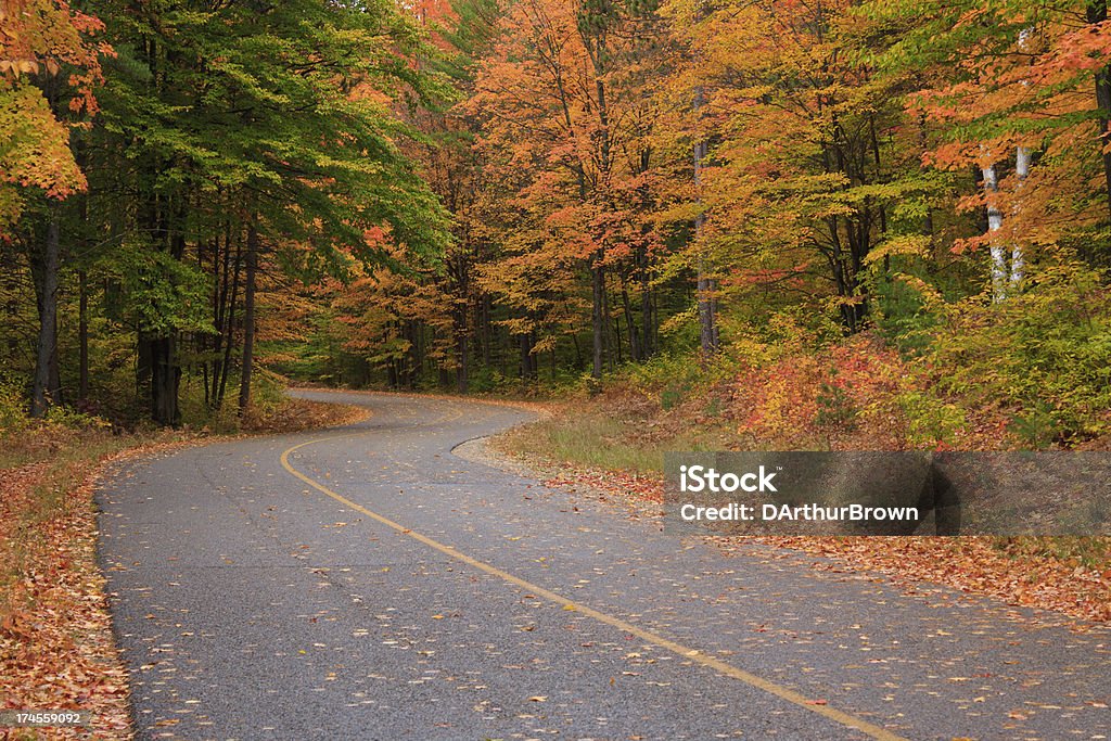 Road curves through Fall Colors Fall colors surround the road to the Old Growth, Hartwick Pines State Park, near Grayling, Michigan Autumn Stock Photo