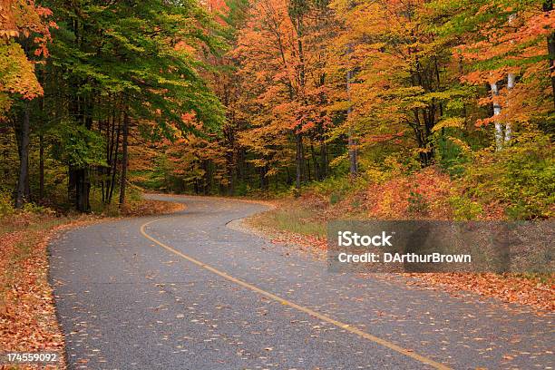 Road Curves Through Fall Colors Stock Photo - Download Image Now - Autumn, Michigan, Road