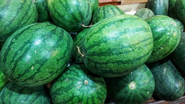 istock Fresh and ripe water melons on display and for sale 1745594450