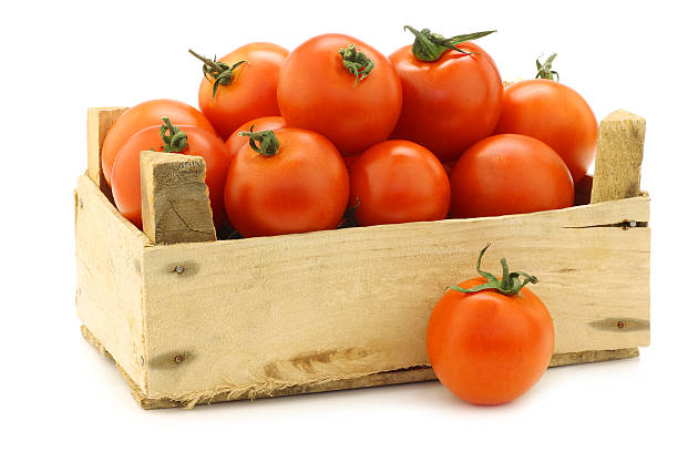 istock fresh tomatoes on the vine in a wooden crate 174561421