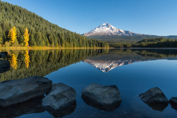 Mt Hood mountain reflecting on glassy Trillium Lake on brisk autumn morning, Oregon