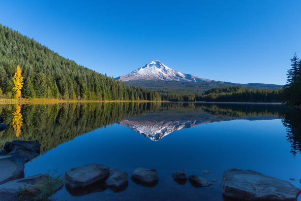 istock Perfect reflections of mountain and trees on lake 1745616015