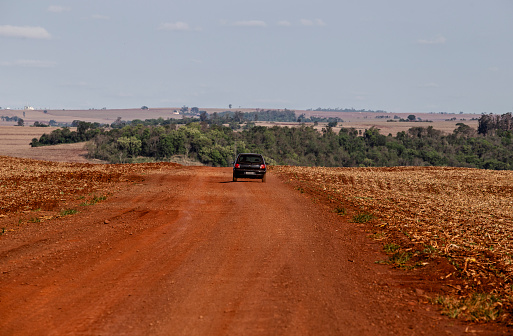 Car on rural dirt road amid newly planted soybeans