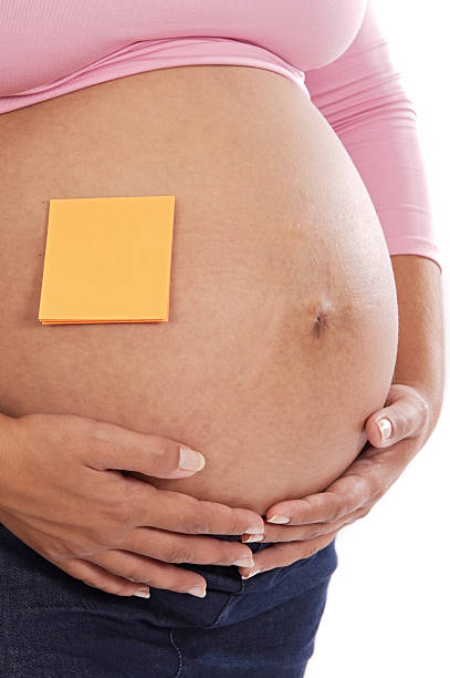 atraente mulher grávida - human pregnancy outdoors women nature imagens e fotografias de stock