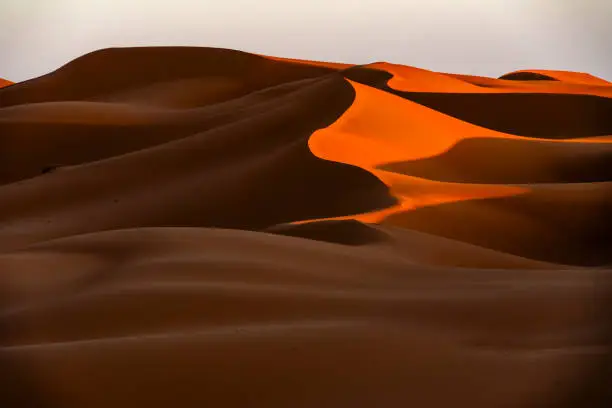 Photo of Golden hour in Western Sahara Desert, Morocco