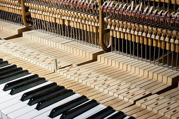 dentro del piano - tuning peg fotografías e imágenes de stock