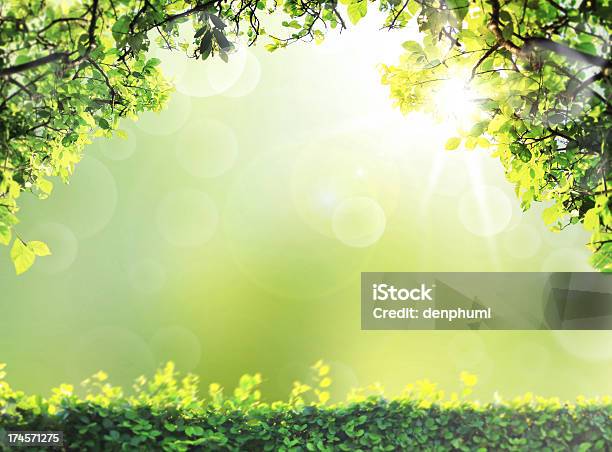 Natural Green Background Stock Photo - Download Image Now - Art, Art And Craft, Backgrounds