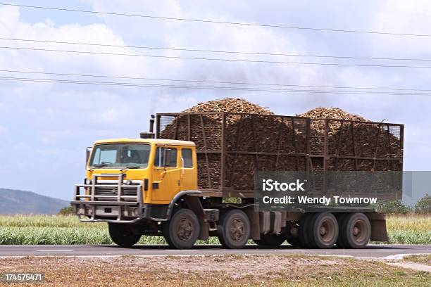 Alar Canadeaçúcar - Fotografias de stock e mais imagens de Camião - Camião, Cana-de-açúcar, Agricultura