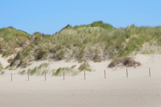 View on the beach and the dune, North Sea, Castricum in the Netherlands