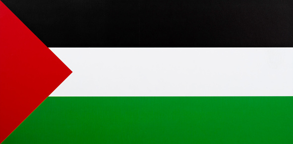 Close up of Palestinian flag.
