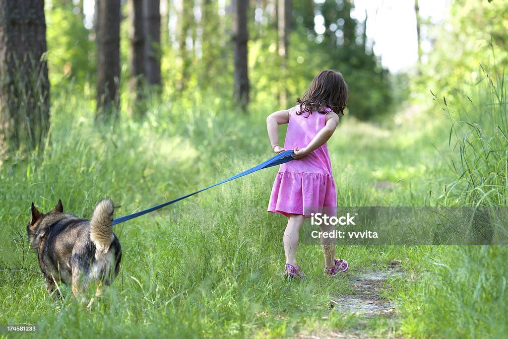 Маленькая девочка, прогулки с собакой в лесу - Стоковые фото Вид сзади роялти-фри