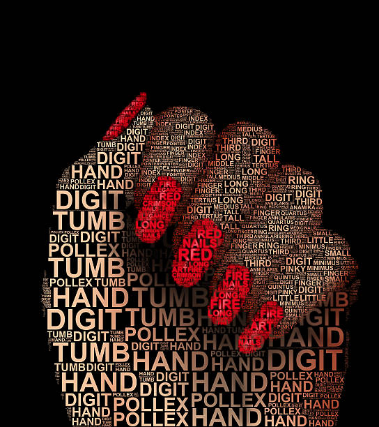 Female Hand Word Cloud Combination of 6 word cloud  the thumb/hand, followed by index finger, middle finger, ring finger,  little finger or pinky and the red fingernails pollex stock pictures, royalty-free photos & images