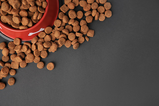 Dry dog food and feeding bowl on black background, flat lay. Space for text