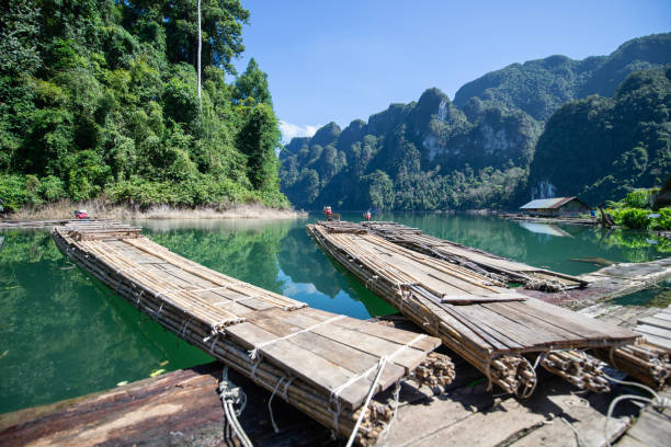 un galleggiante di bambù in un fiume cruie nel parco nazionale di khao sok - parco nazionale di khao sok foto e immagini stock