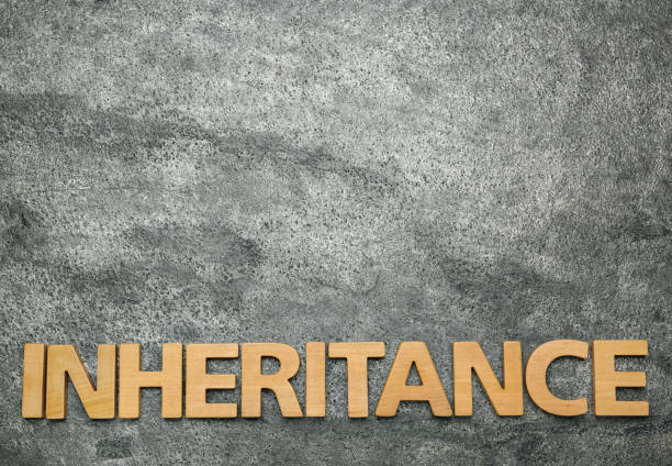 istock Word Inheritance made with wooden letters on grey background, flat lay. Space for text 1745833423