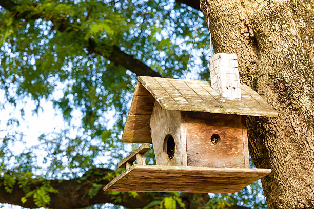 istock Wooden birdhouse 174583649