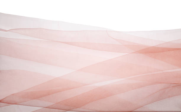 Beautiful beige tulle fabric on white background, top view