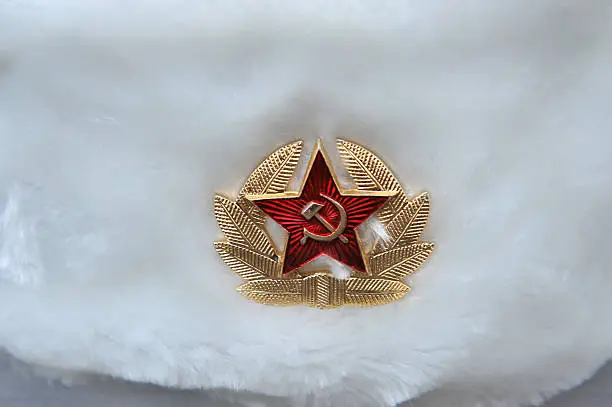 Photo of Soviet Fur hat insignia closeup