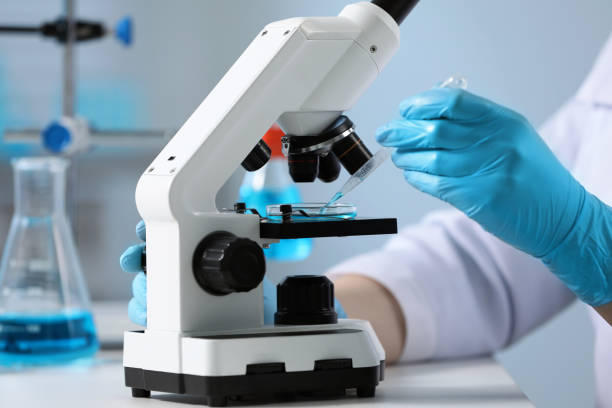 istock Scientist dripping sample onto Petri dish while working with microscope in laboratory, closeup 1745858420