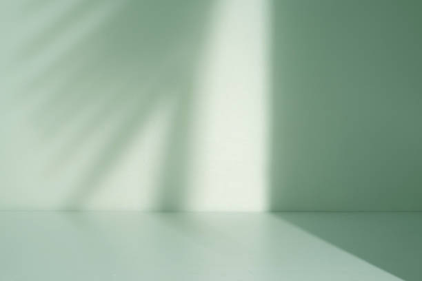 istock minimalist room with wall and palm leaf shadow 1745866975