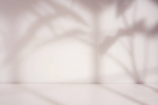 istock beautiful room with house plant shadow 1745867653