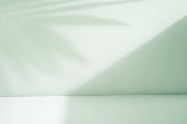 istock abstract green room with palm shadow background 1745872875