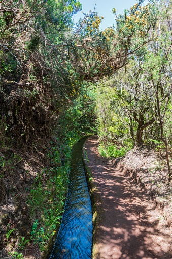 Levada do Alecrim hiking trail near Rabacal in madeira