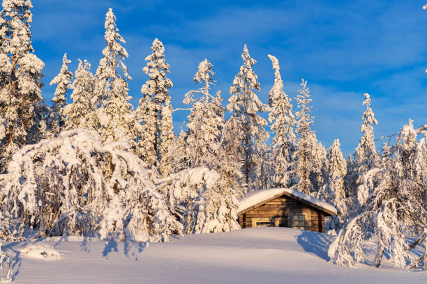 istock Winter lanscape in the arctic, Sweden 1745919605