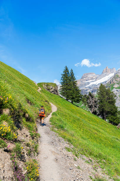 istock Hiker with backpack on a summer trail in the alpine landscape, Switzerland 1745920129
