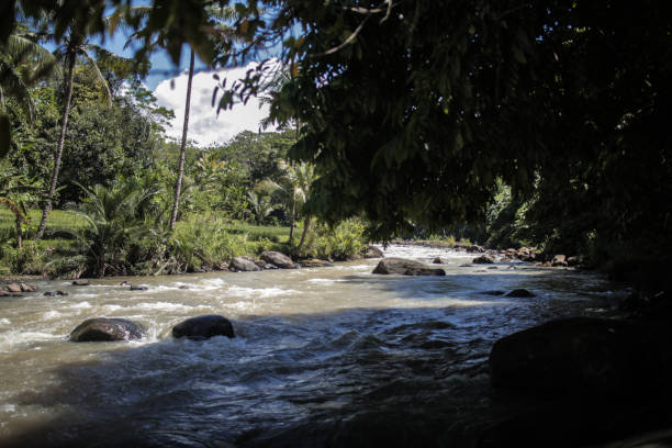 istock great river for rafting in Sukabumi Indonesia 1745935759