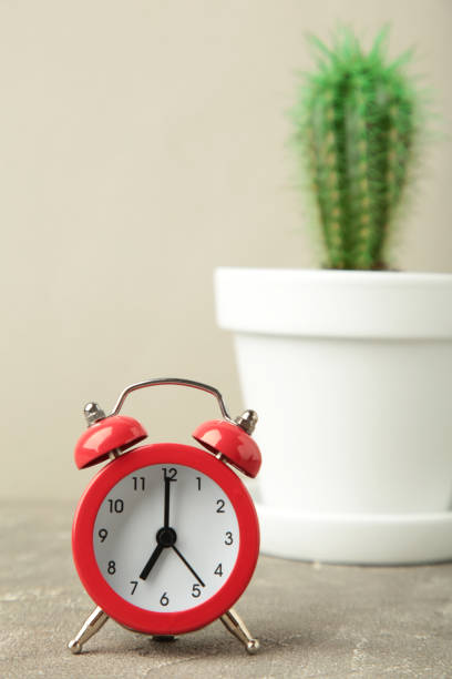 istock Red vintage old alarm clock and small cactus on grey background 1745938395