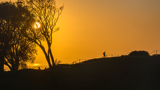 Silhouette image of a man walking on the boardwalk steps with the sun rising above trees. Mt Eden summit. Auckland.