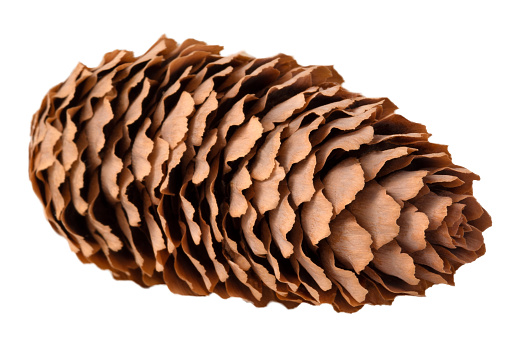 A cone - a Christmas tree decoration isolated on a white background.