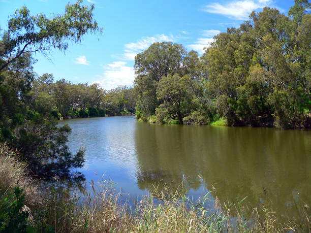 istock Macintyre River surrounded by trees and plants with a blue sky in Goondiwindi, Queensland, Australia 1745963156