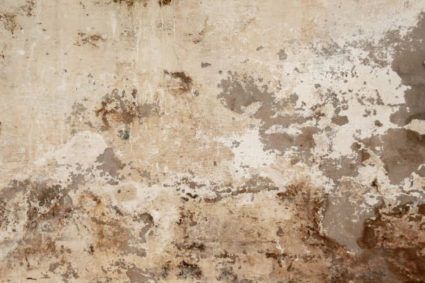 istock Distressed old concrete wall with flaking plaster and paint in an urban environment 1745987325