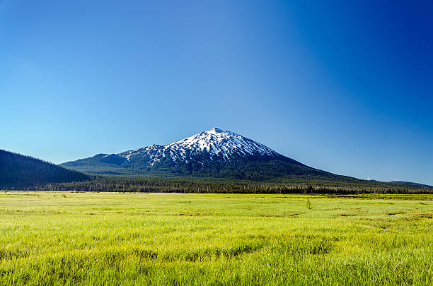 istock Lush Green Meadow and Mount Bachelor 174599925