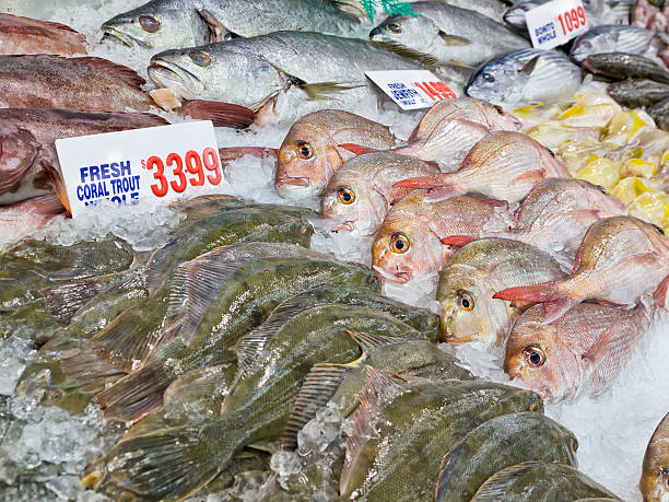 Assortimento di pesce fresco - foto stock