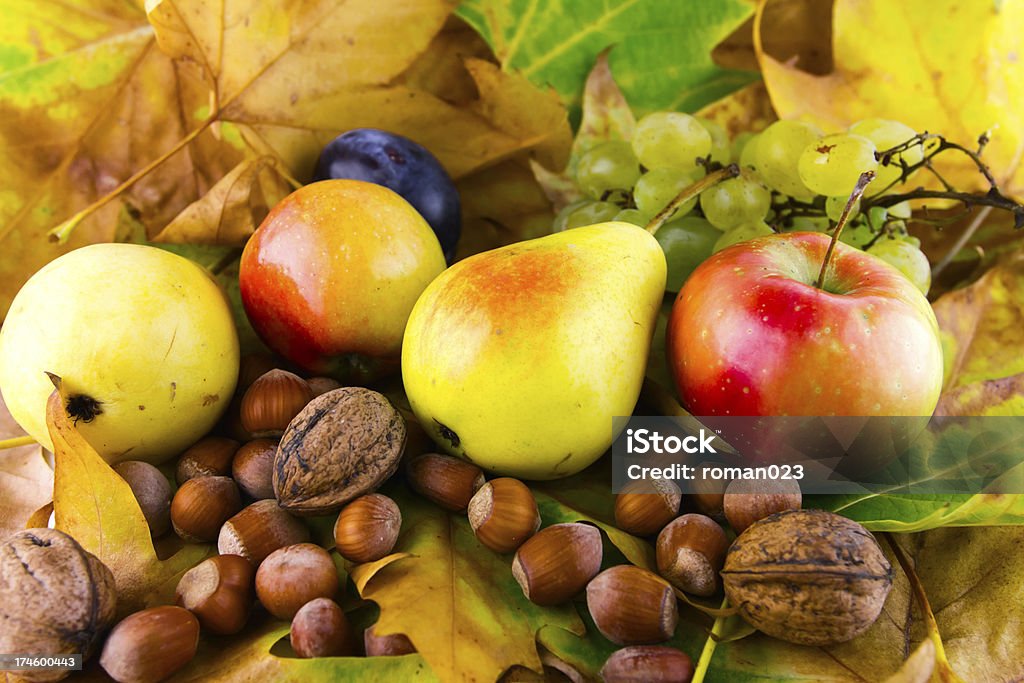 fruits d'automne sur feuilles - Photo de Adulte d'âge mûr libre de droits