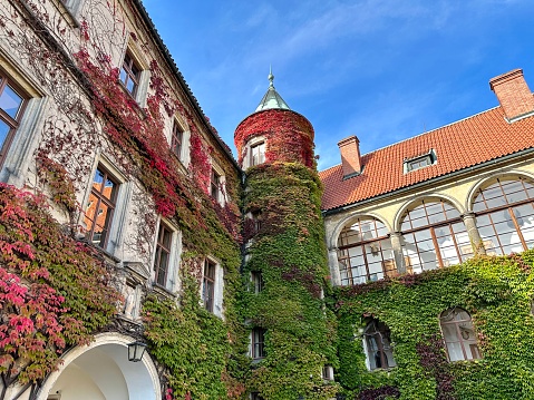 the corner tower is overgrown with autumn-colored plants, the period of October , location Czechia , Turnov town