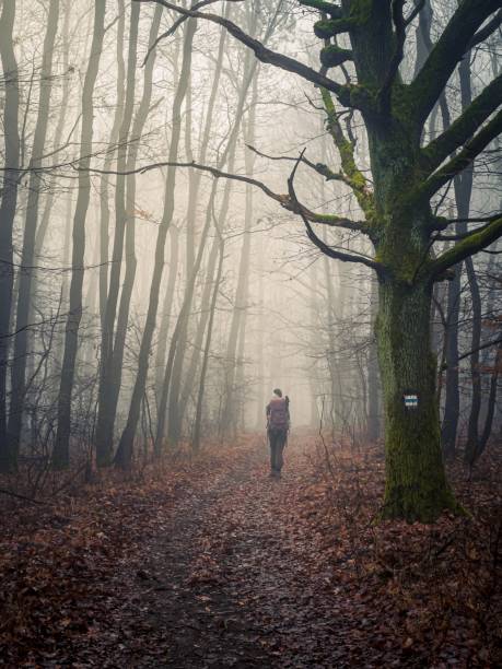 istock Young woman hiking with a backpack on a forest trail in autumn 1746016077