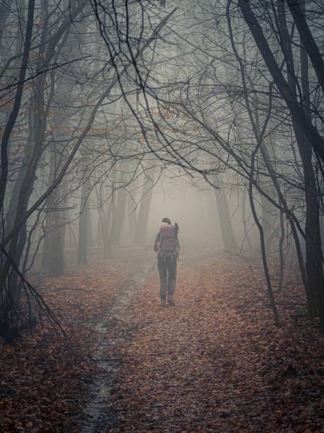 istock Young woman hiking with a backpack on a forest trail in autumn 1746016078