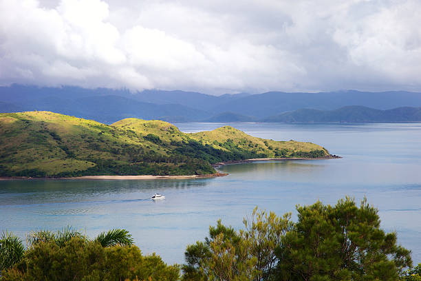 Isla de Hamilton - foto de stock