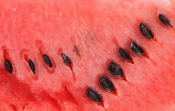 istock Slice of watermelon. Close up. Whole background. 174603299