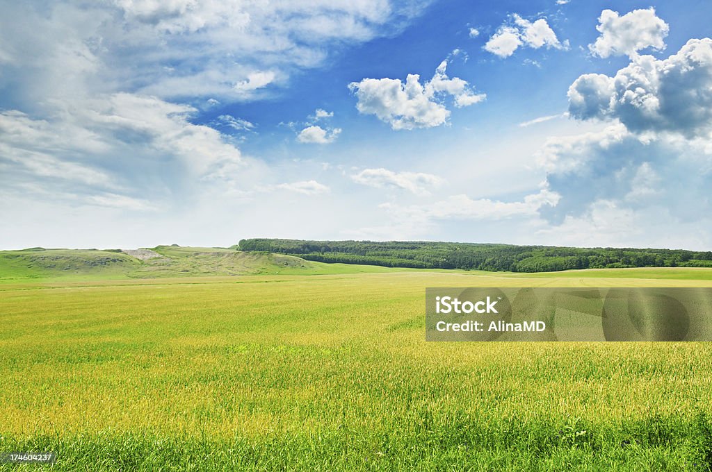 Montañoso y el cielo azul - Foto de stock de Agricultura libre de derechos
